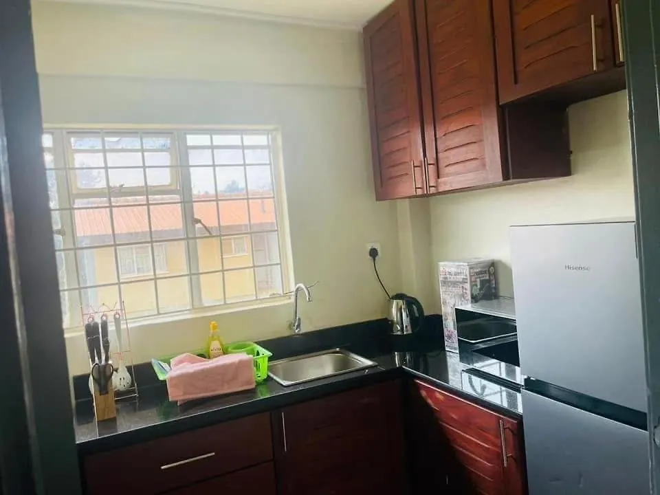 A A Modern 2Bedroom Fully Furnished Apartment In Bukoto Kampala